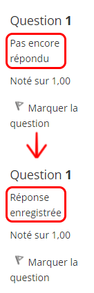exemple statut question